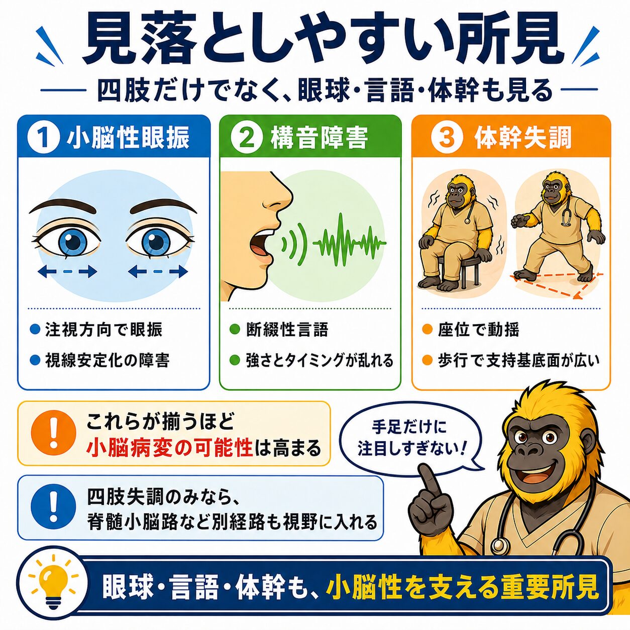 見落としやすい所見：小脳性眼振・構音障害・体幹失調。四肢だけでなく眼球・言語・体幹も見る