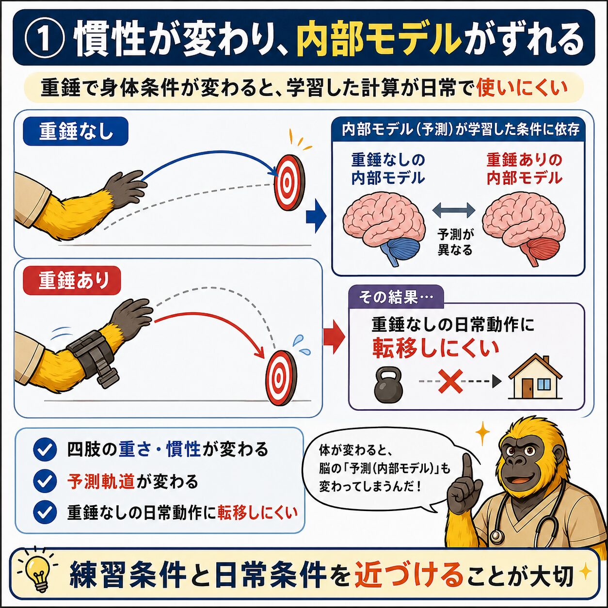 重錘による慣性変化と内部モデルのずれ