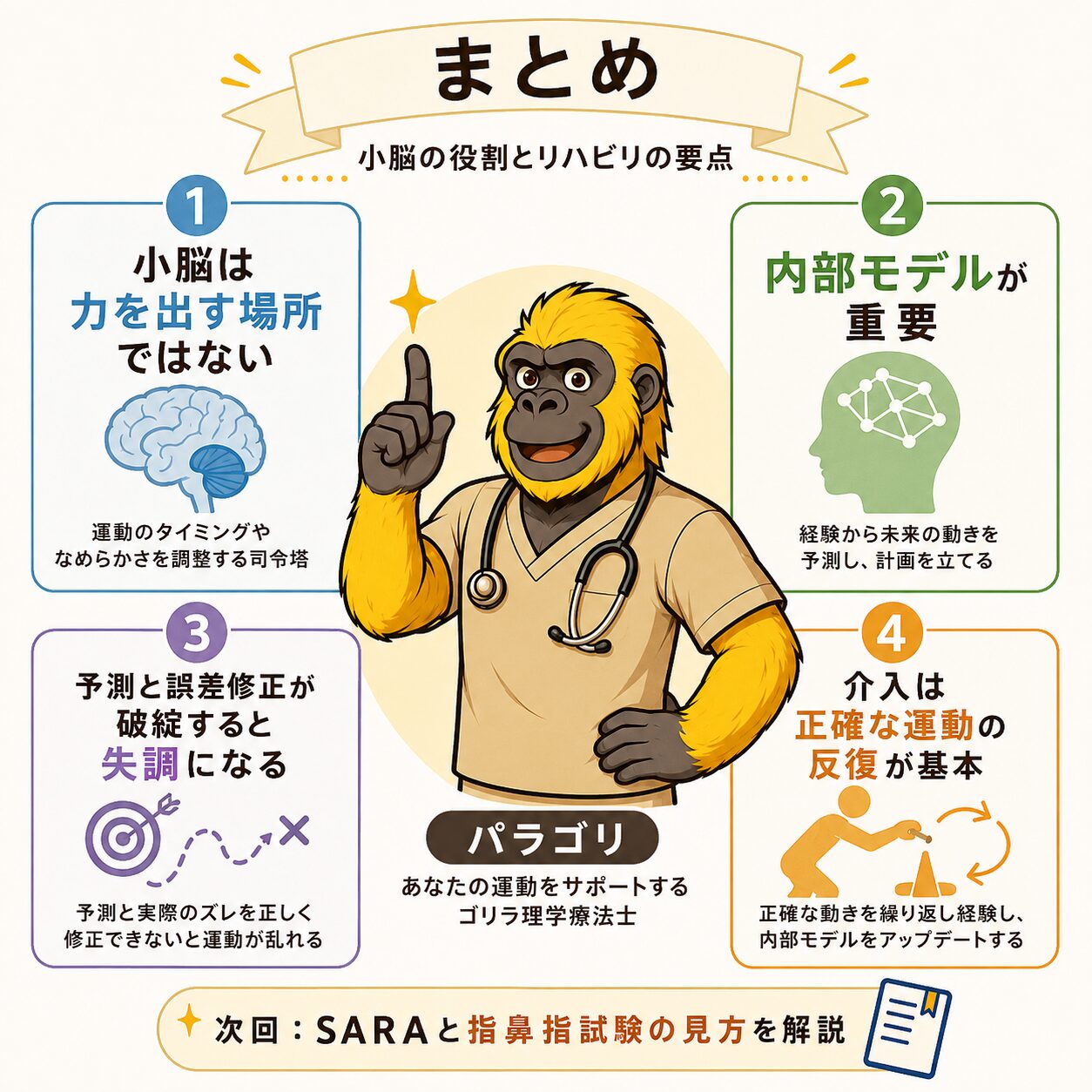 まとめ：小脳の役割とリハビリの要点4つ