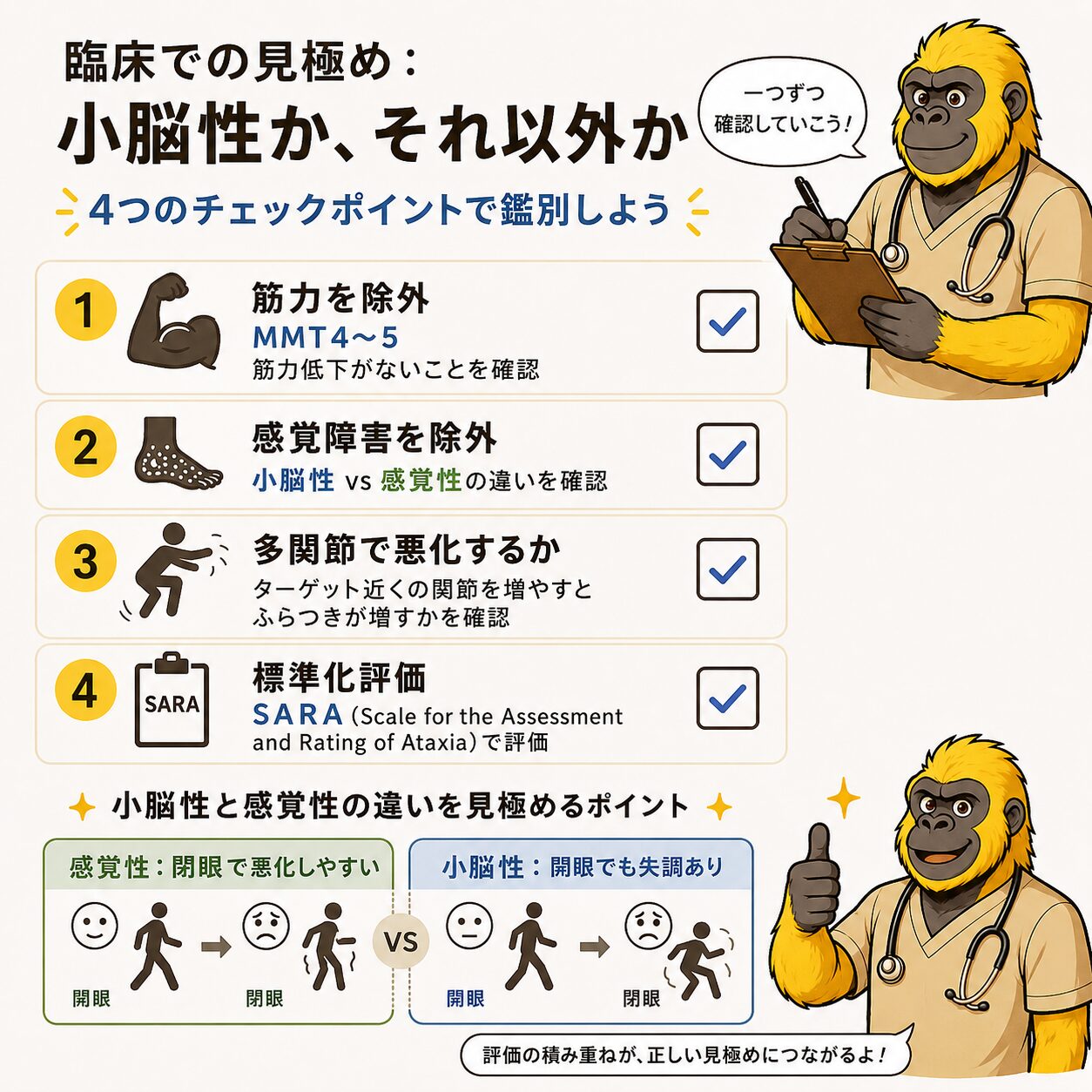 臨床での見極め：小脳性か感覚性か4つのチェックポイント