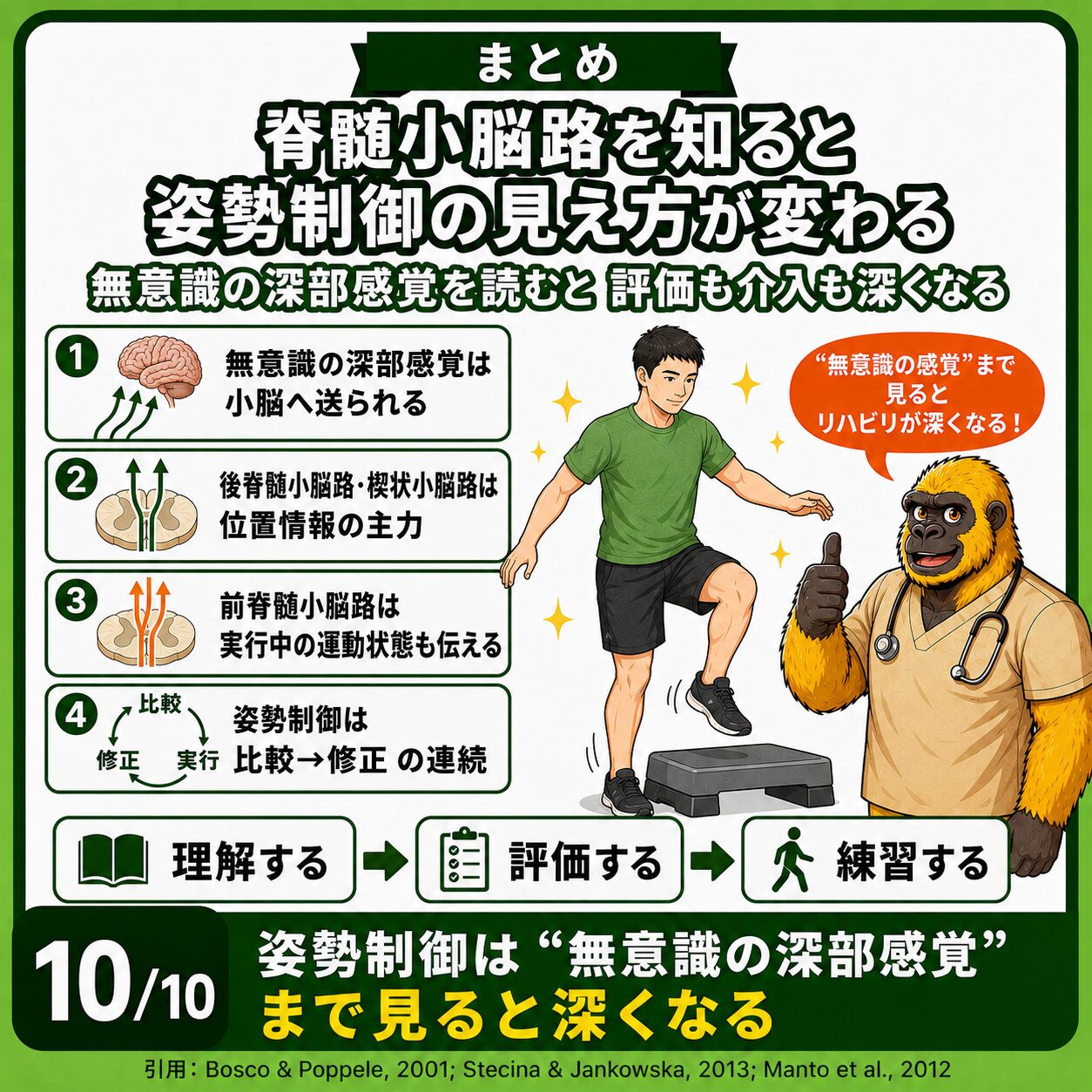 脊髄小脳路のまとめ