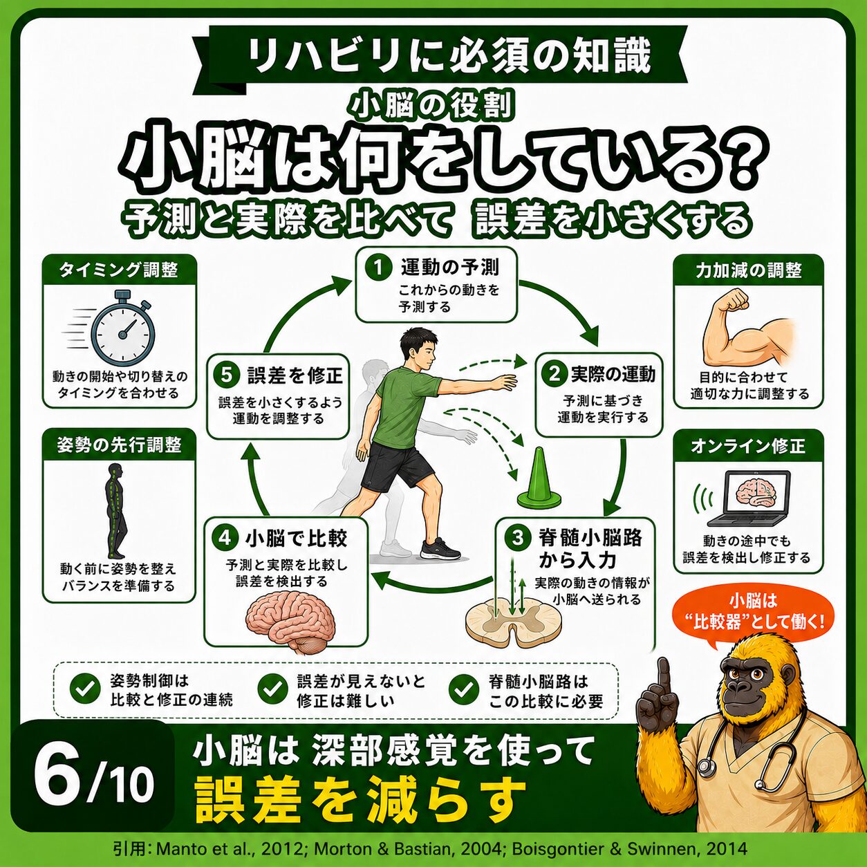小脳の予測・比較・誤差修正