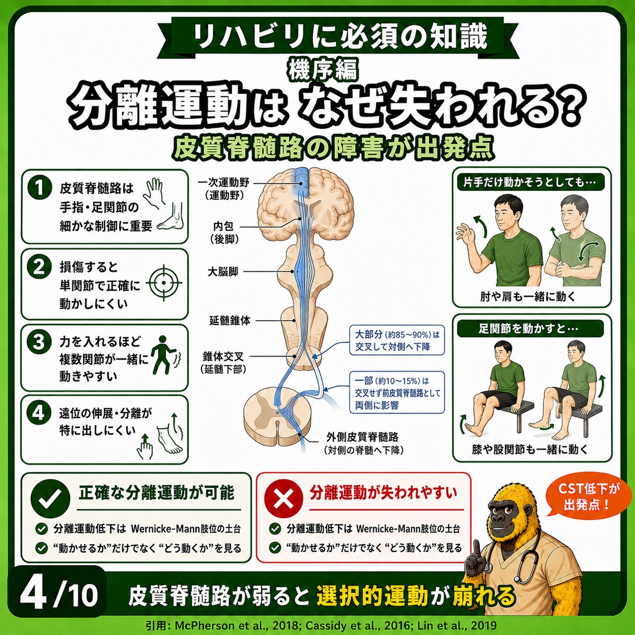 皮質脊髄路障害と分離運動