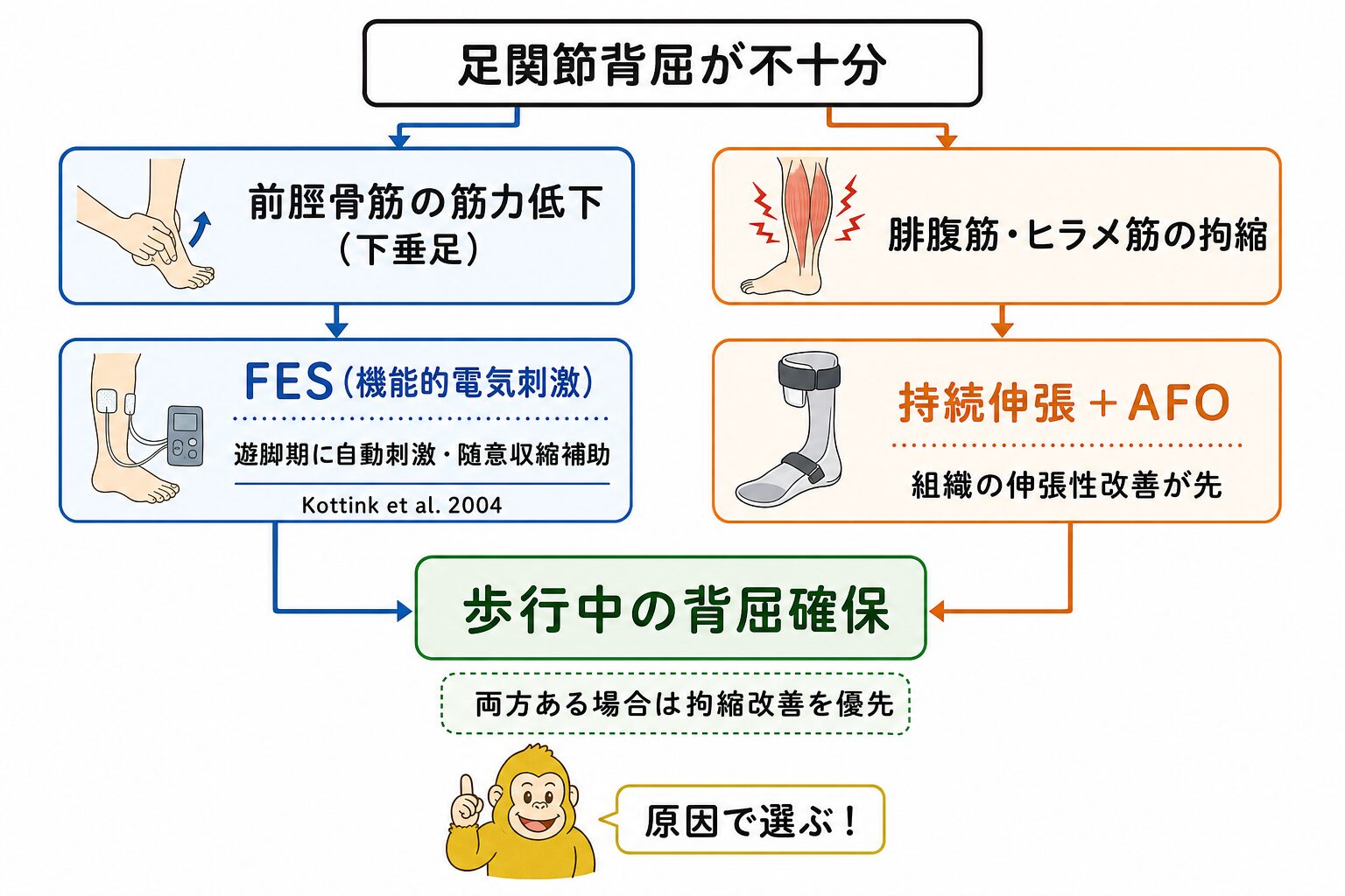 足関節背屈不足への介入：FESとAFOの使い分け