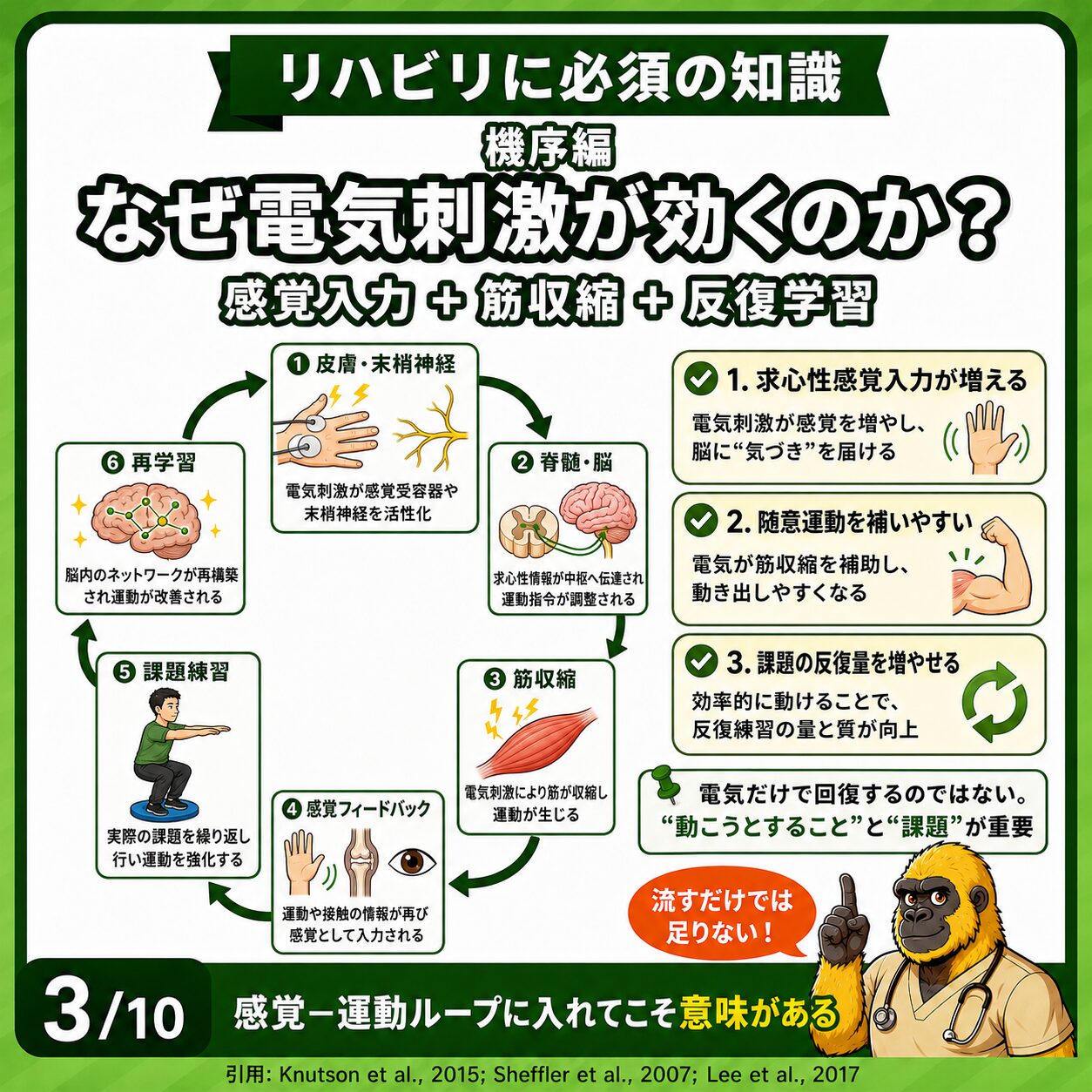 電気刺激の機序:感覚入力・筋収縮・反復学習のループ