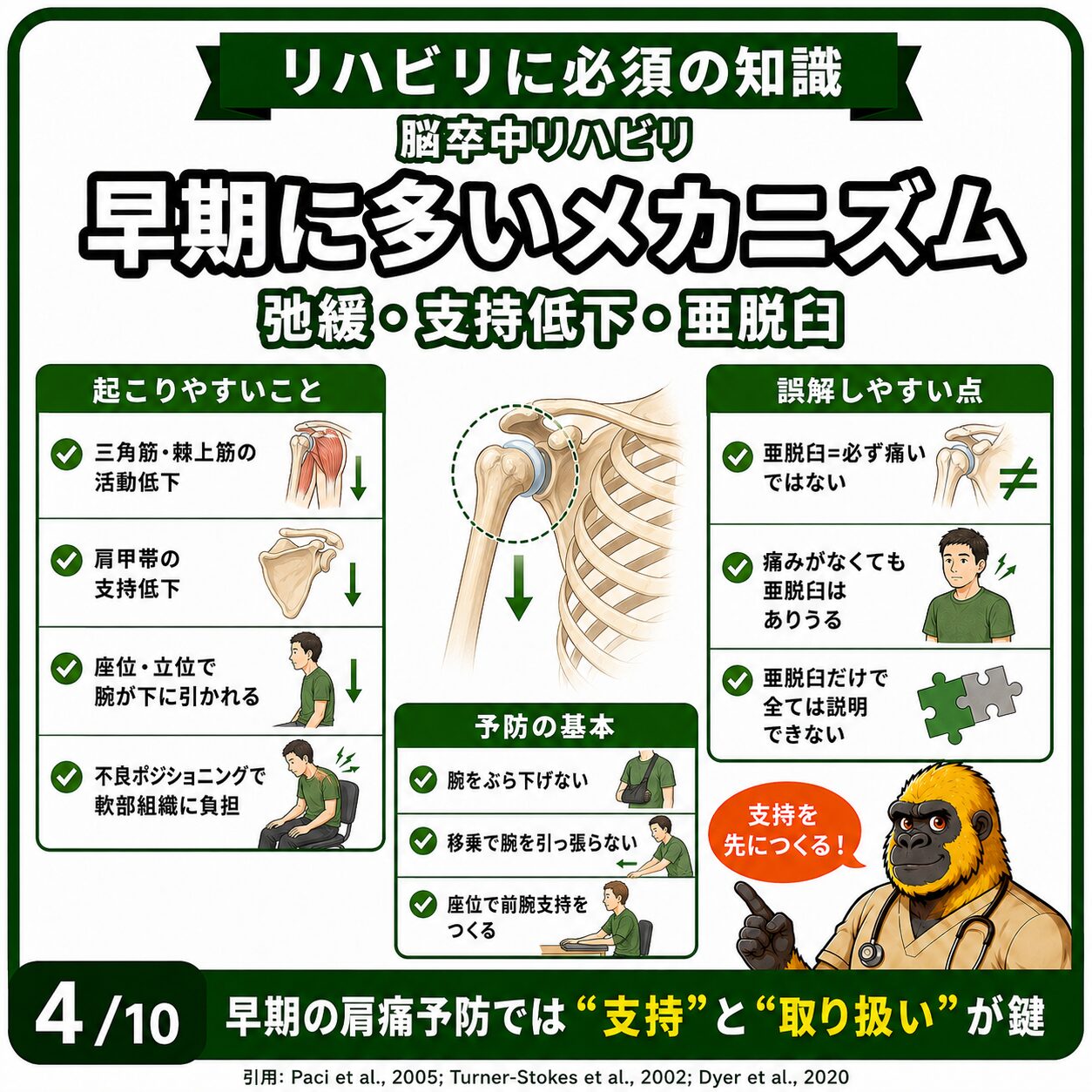 早期の肩痛メカニズム：弛緩・亜脱臼・支持低下