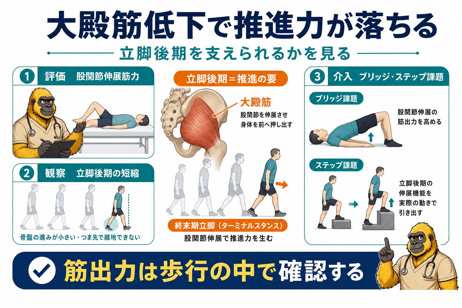 大殿筋の筋力低下と推進力低下