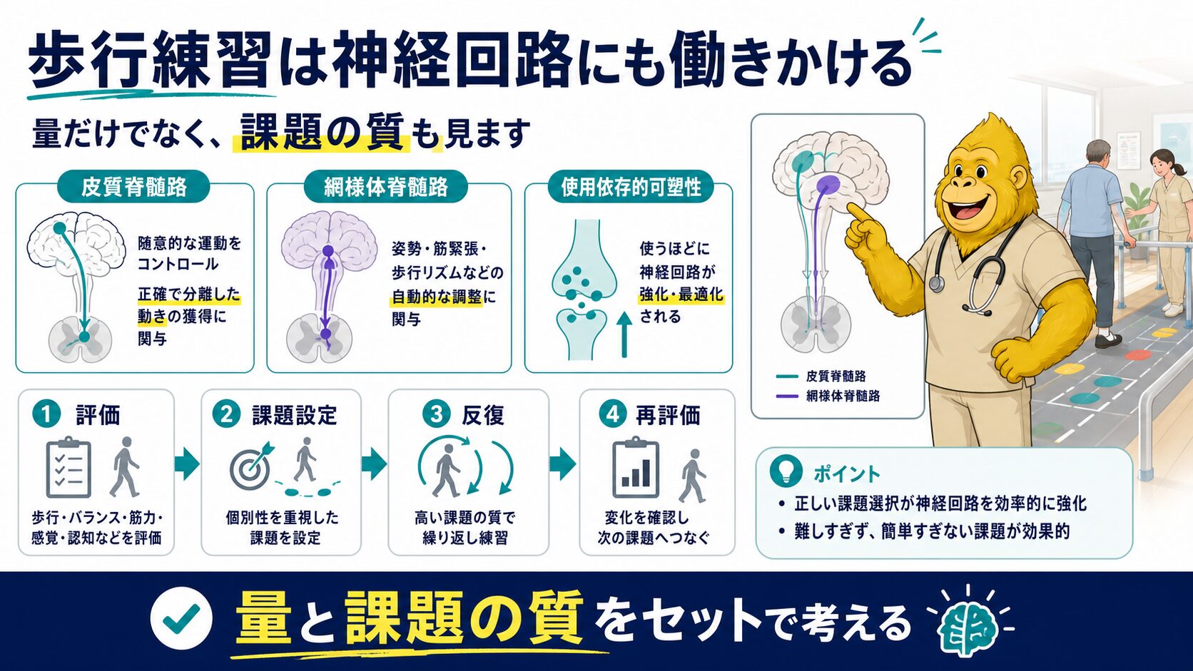 課題指向型歩行練習の全体像