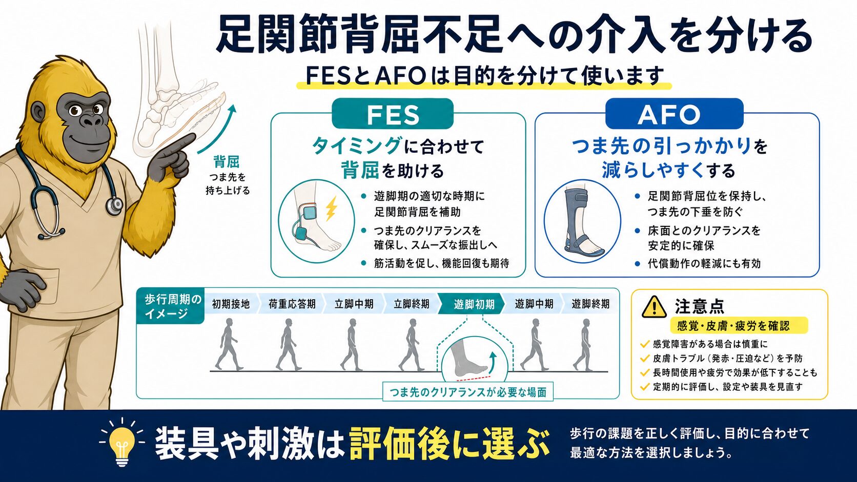 足関節背屈不足への介入：FESとAFOの使い分け