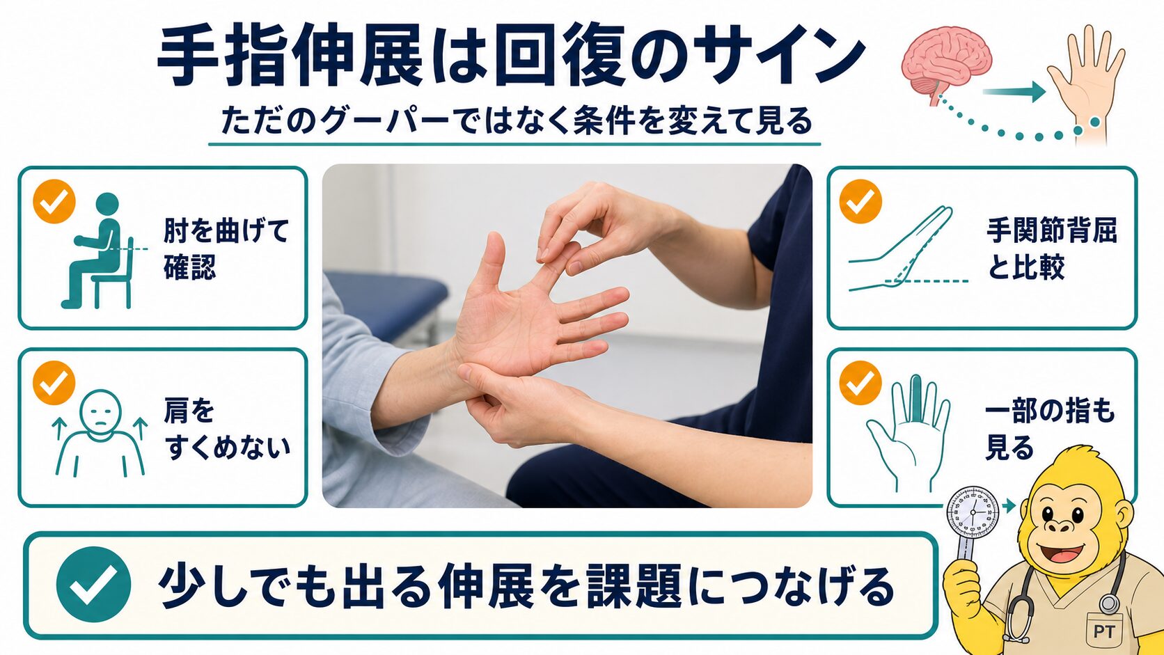 手指伸展の評価ポイント