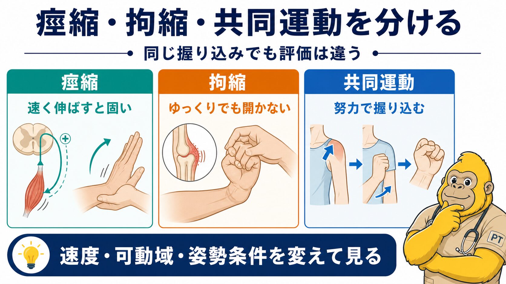 痙縮・拘縮・共同運動の見分け