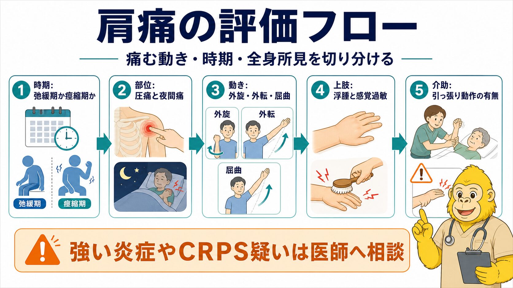 肩痛の評価フロー