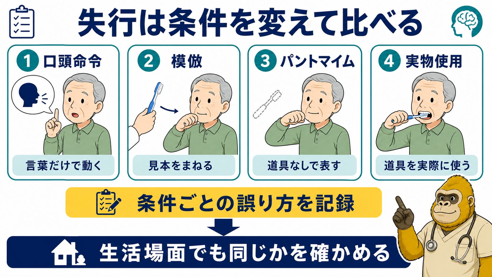 失行は口頭命令・模倣・パントマイム・実物使用の条件を比べる