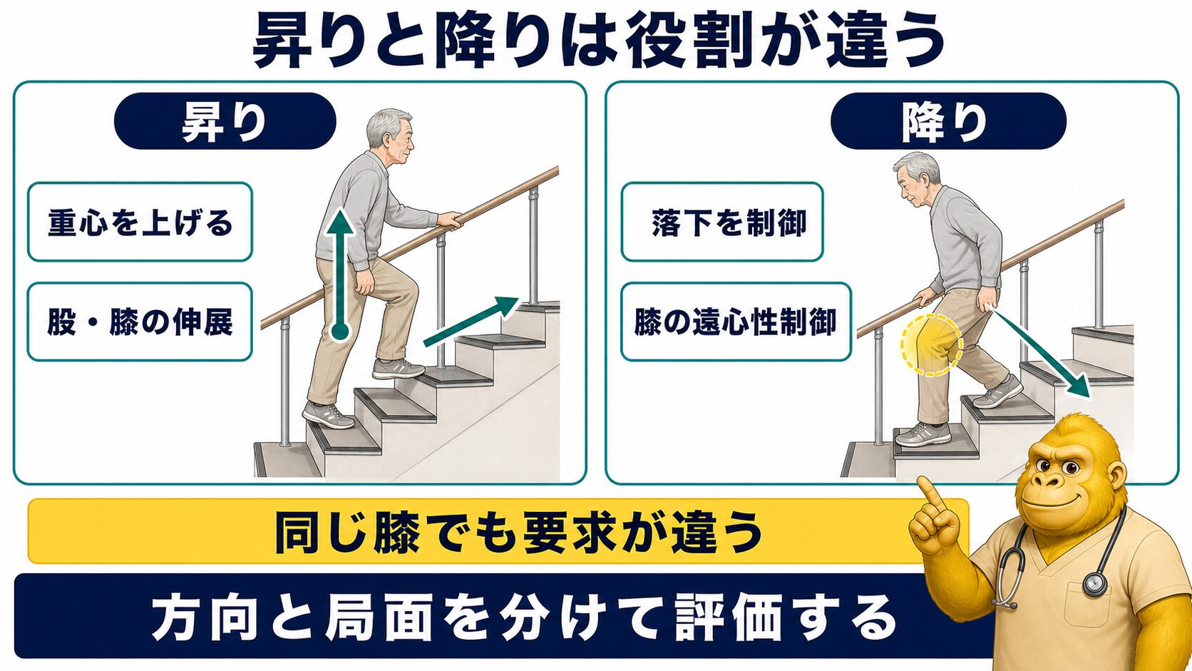 階段昇降は昇りと降りで身体の役割が異なる