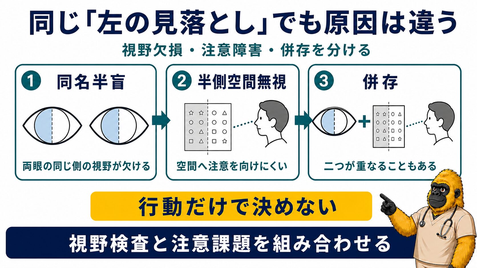 同名半盲と半側空間無視を分ける