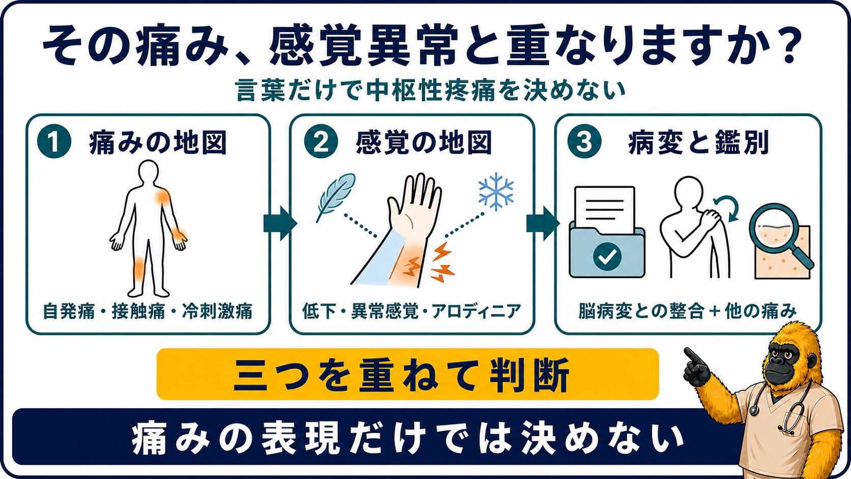 痛みの地図と感覚の地図を重ねる