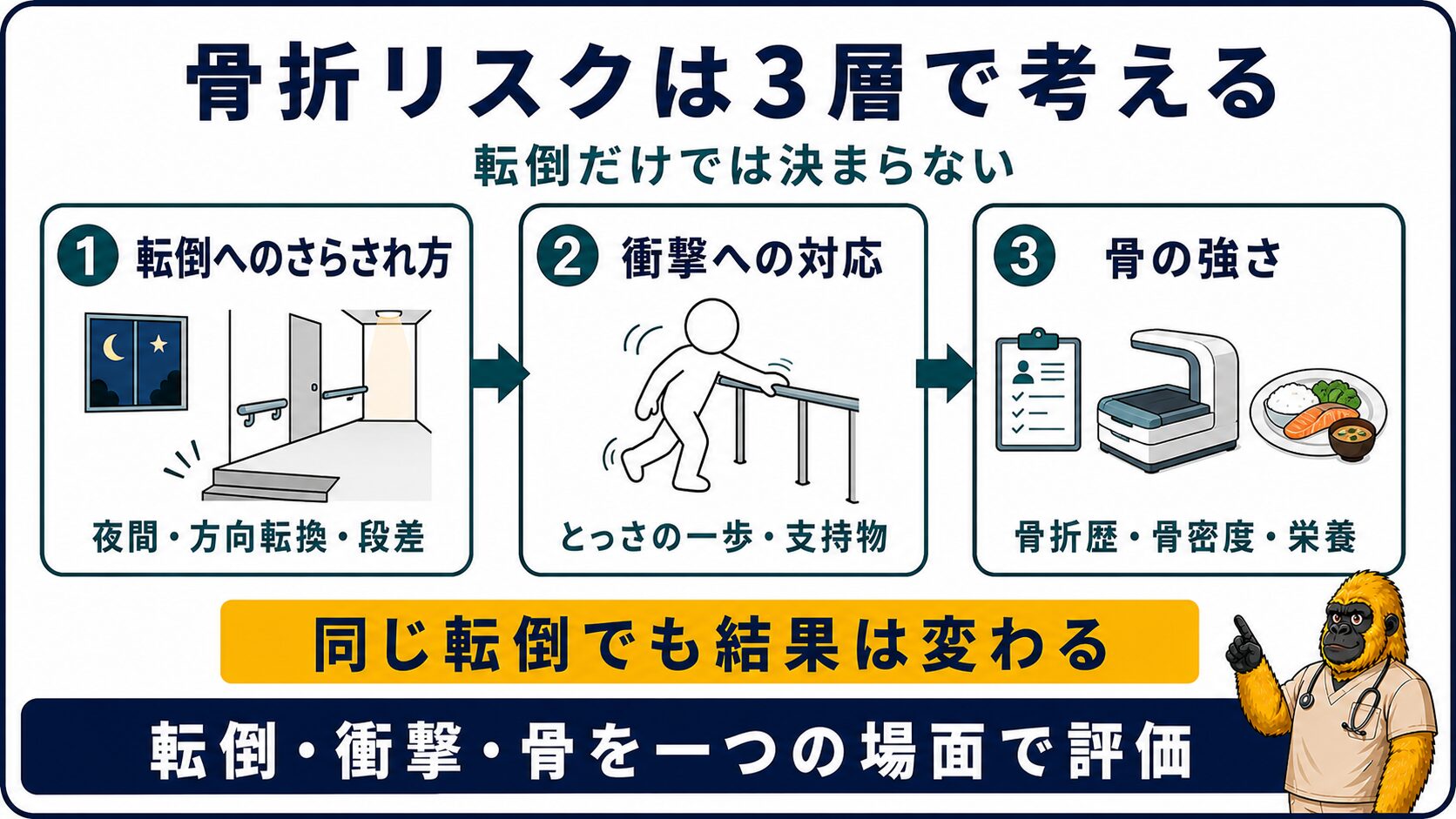 骨折リスクを転倒・衝撃・骨の強さに分ける
