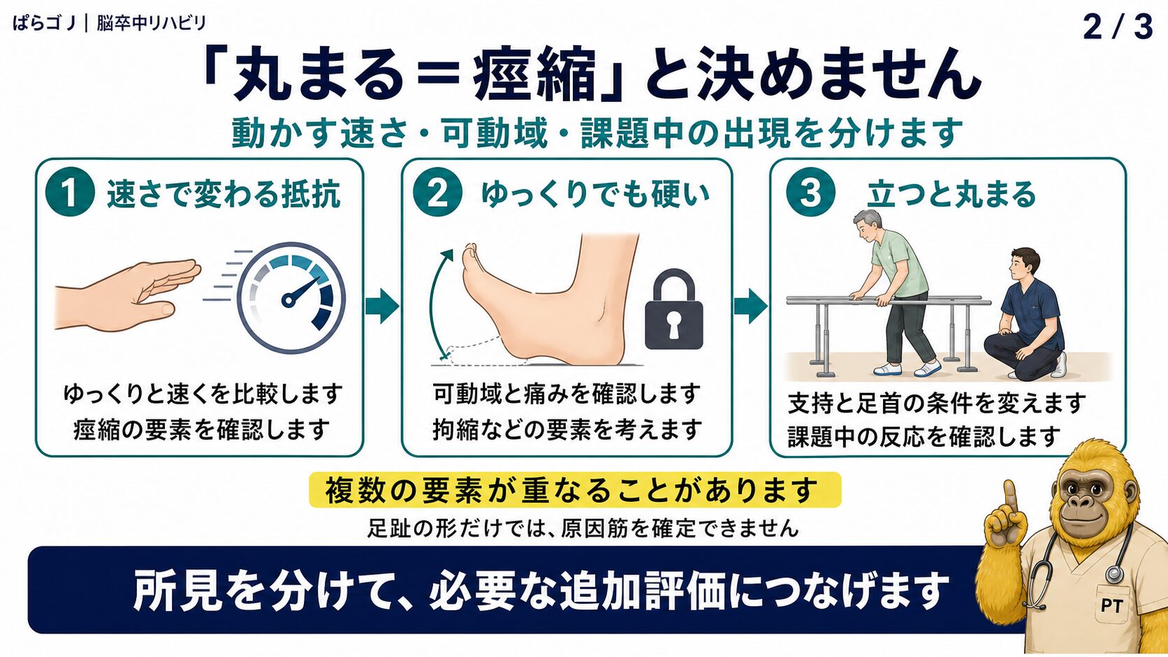 伸張速度で変わる抵抗、ゆっくり動かしても残る硬さ、課題中の足趾屈曲を分ける考え方