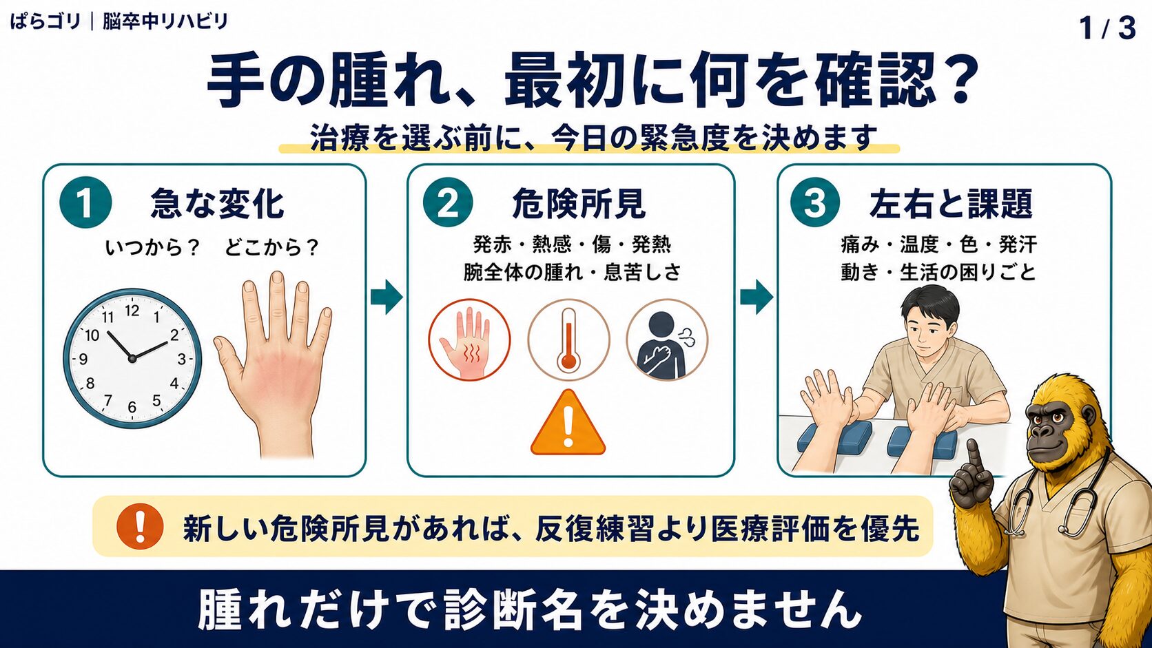 手の腫れを見たときに急性所見、左右差、痛み、動作を順に確認する評価フロー