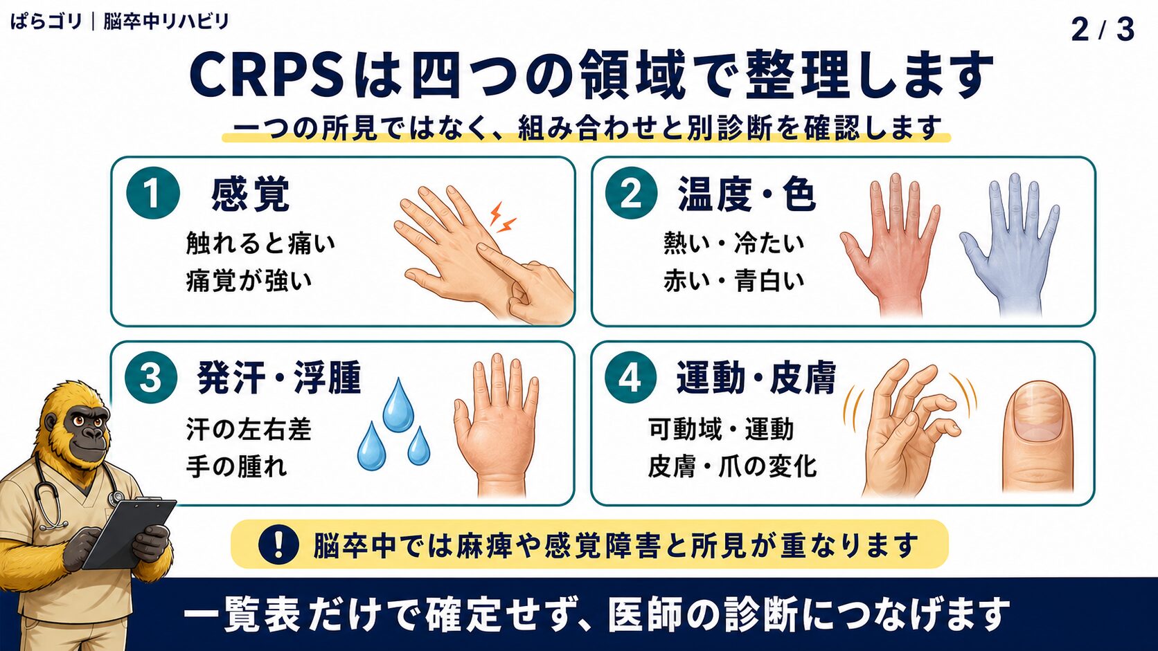 感覚、皮膚温と色、発汗と浮腫、運動と皮膚変化を四領域で整理する図