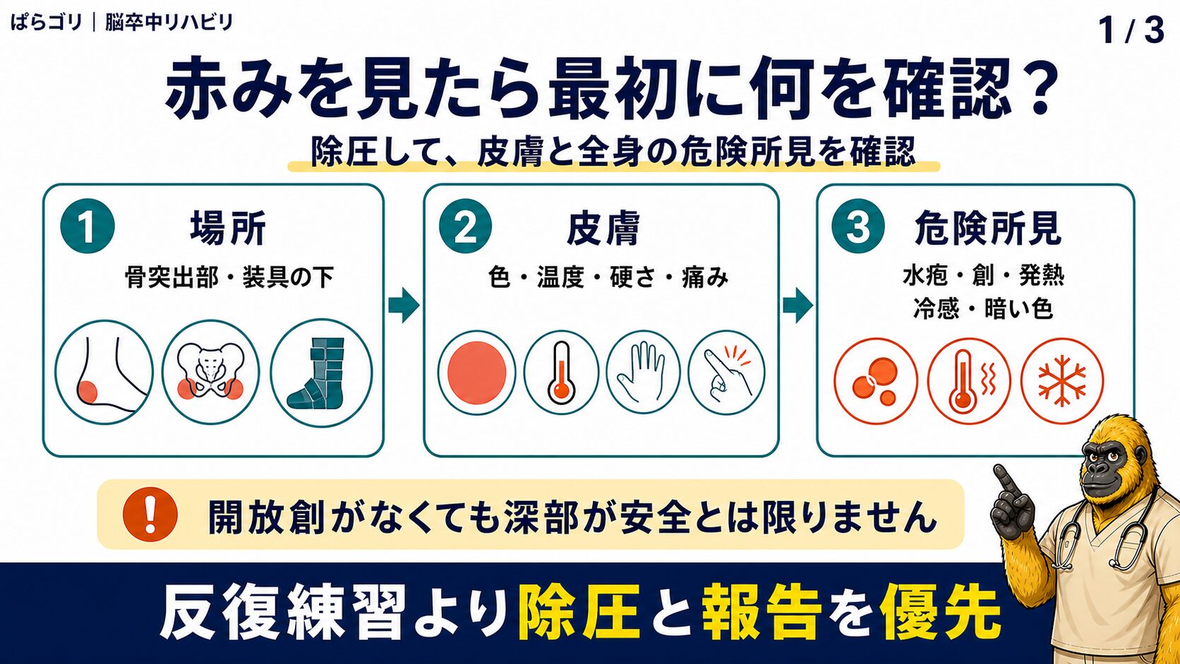 皮膚の赤みを見たときに場所、荷重時間、皮膚反応、危険所見を順に確認する図