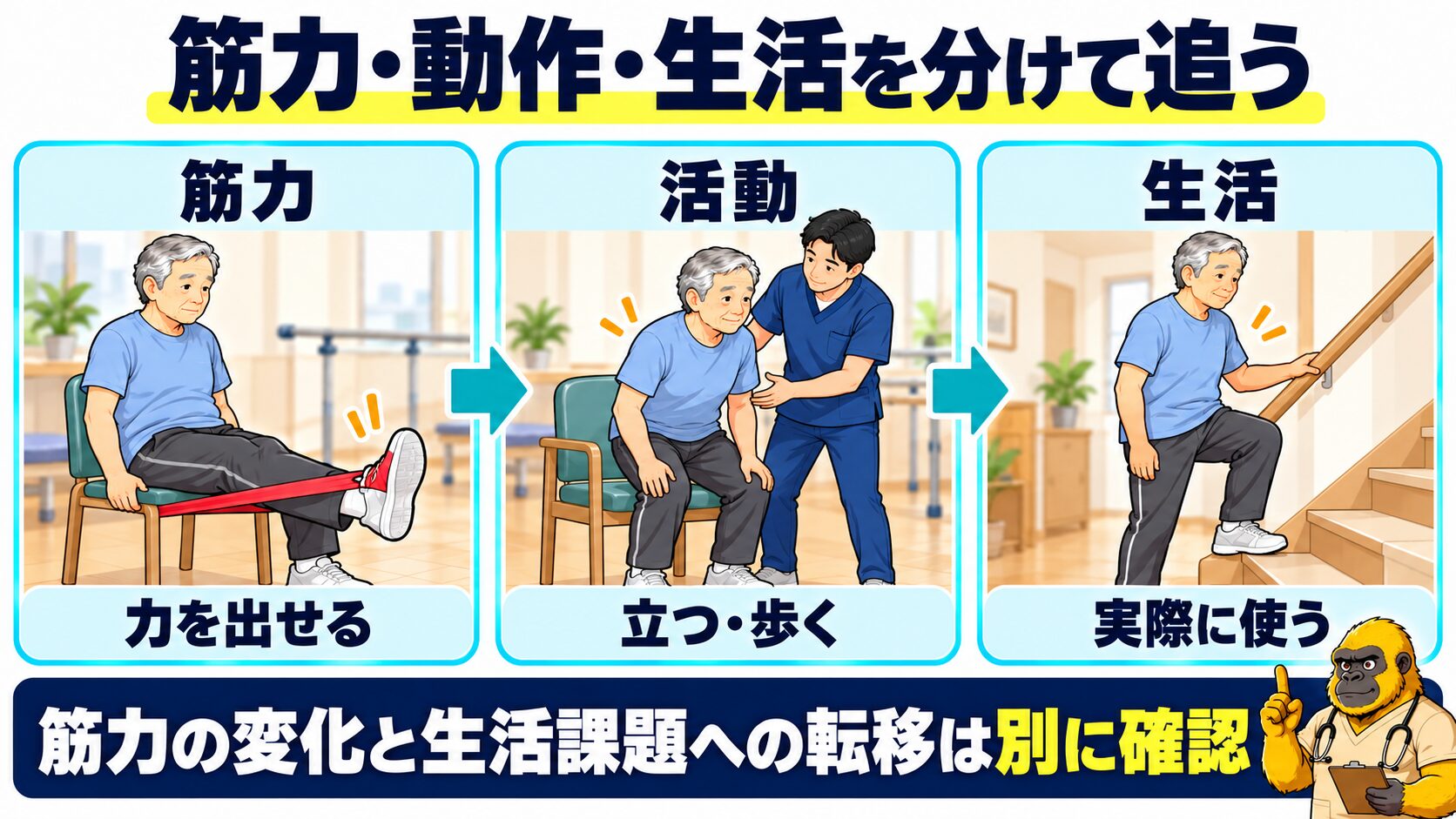 筋力と活動と生活を分けて追う